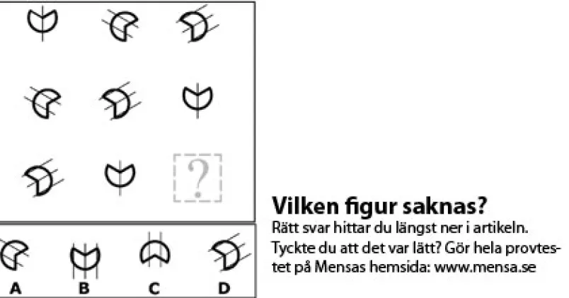 Bild på figurer från IQ-test.