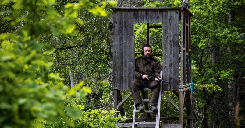 Kristofer Mannerström sitter i jakttorn med bössa i handen.