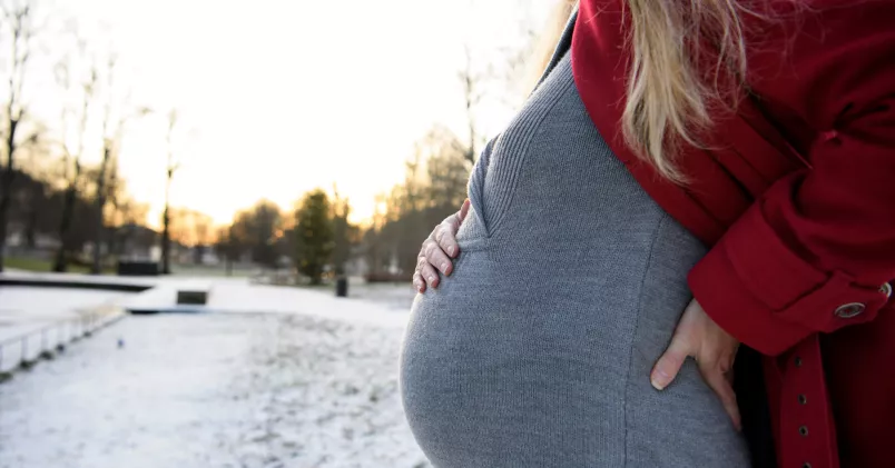 Kvinna med gravid mage. Utomhus. Vinterlandskap.