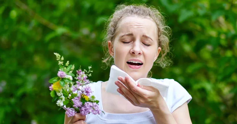 Pollenallergi Foto: Shutterstock Pollenallergi Foto: Shutterstock