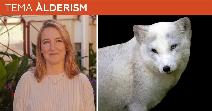 Sanna Nordström, Parks & Resorts.