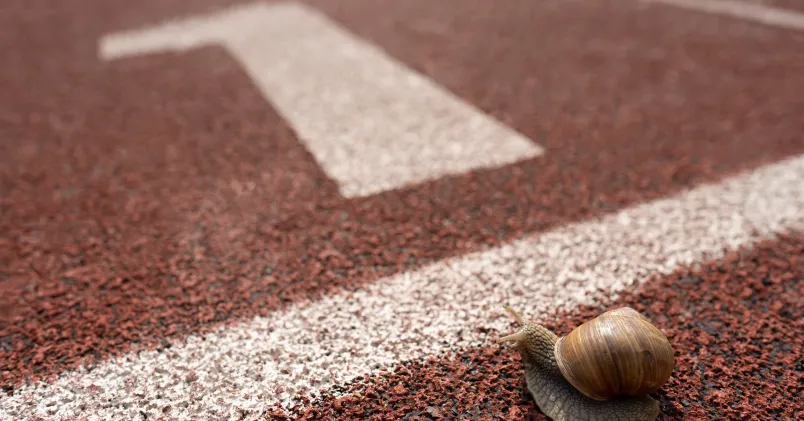 En snigel kryper över en vit linje