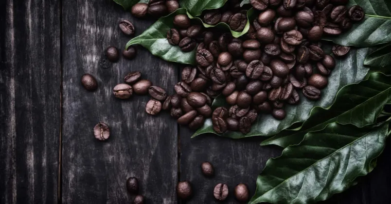 kaffebonor_quiz.jpg kaffebonor_quiz.jpg