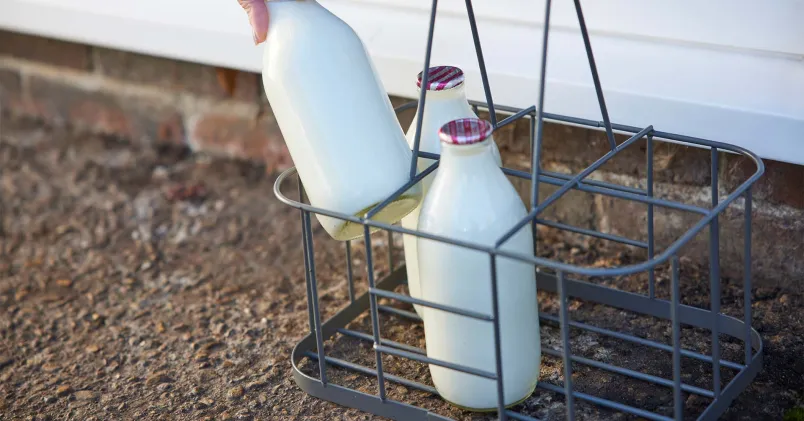 Mjölkflaskor