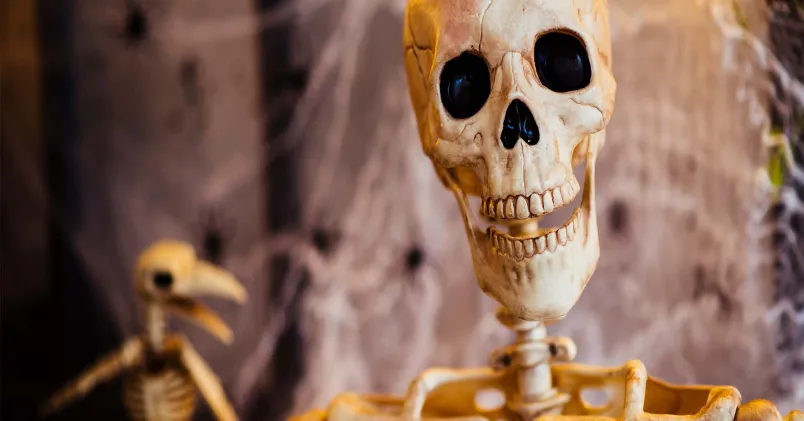 Halloween skyltfönster skelett