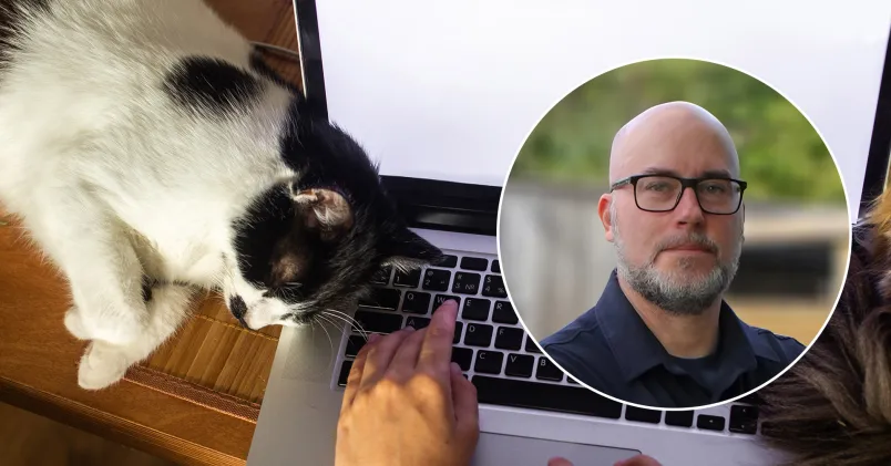 En katt som ligger på en dator