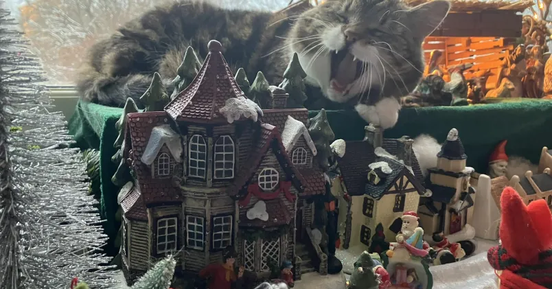 Kattgodzilla i julkrubba