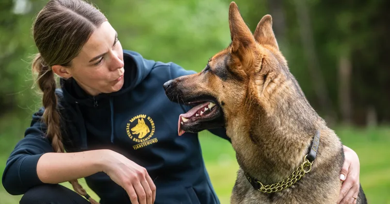 Kvinna sitter på huk och tittar på en hund, som tittar tillbaka på henne