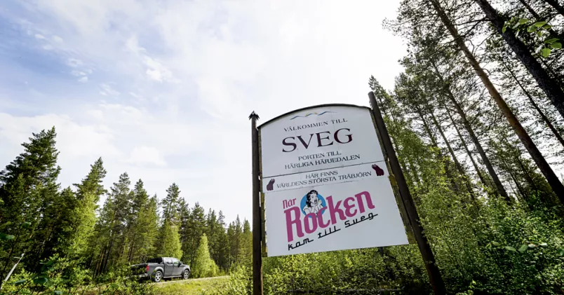 "Det är klart att amerikanska företag som etablerar sig i Sverige inte skulle välja Sveg om det inte fanns kostnadsfördelar, det är den enkla sanningen", säger Anki Nordin, HR-ansvarig för Sykes Norden. Tommy Andersson