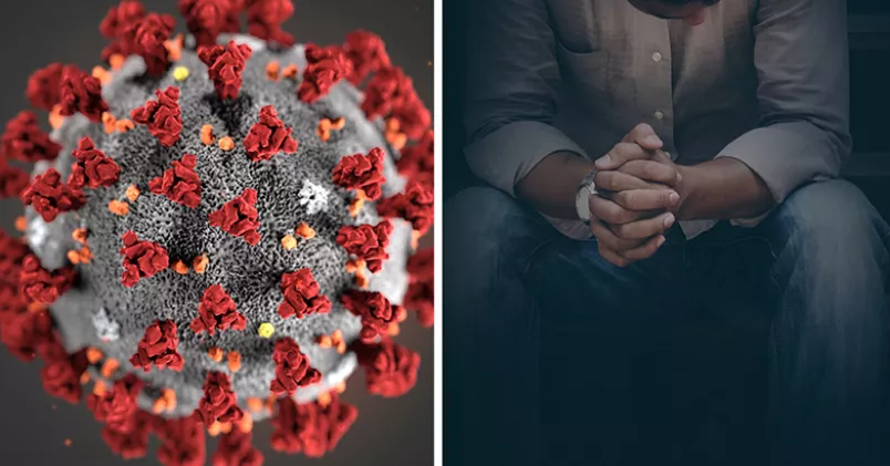 AP Photo / TT, Shutterstock