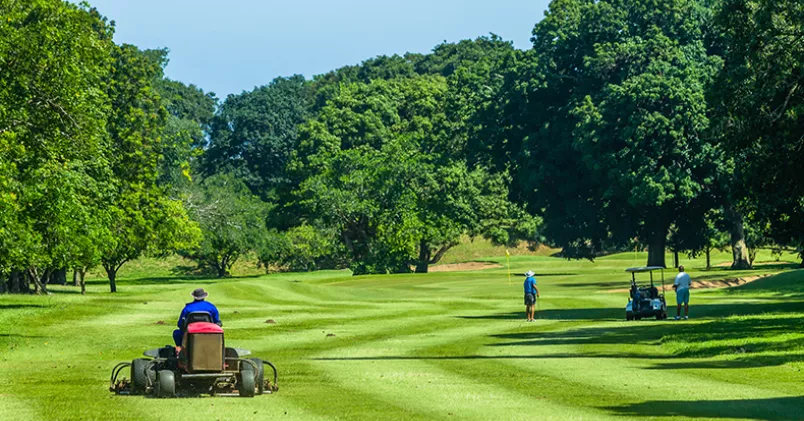 ChrisVanLennepPhoto/Colourbox