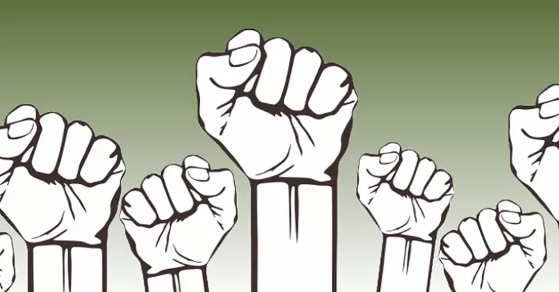 Colourbox (montage Magdalena Taubert)