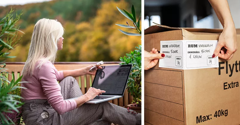 Colourbox, Karin Wesslén / TT