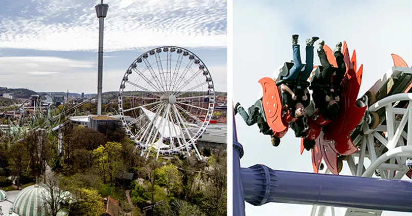 Adam Ihse / TT, Maja Suslin / TT