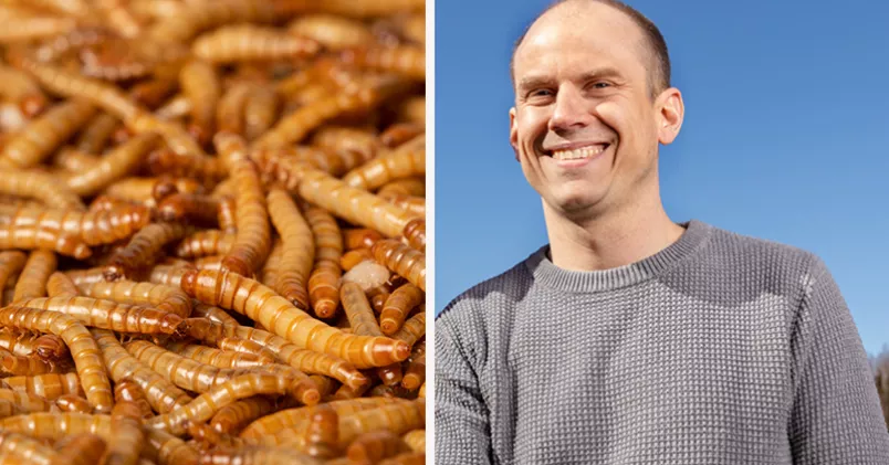 Tebrito / Kola Productions