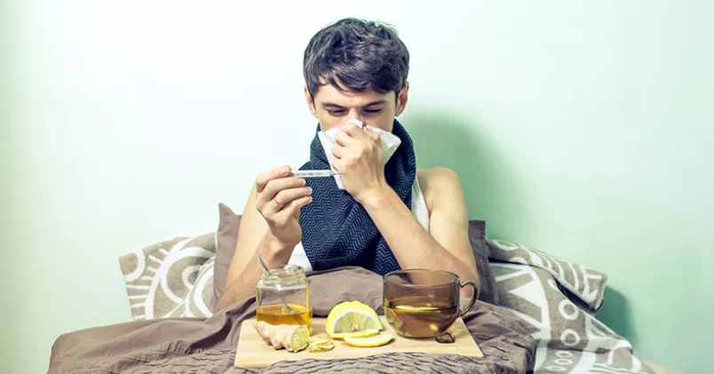 Oleshko Artem/Colourbox.com