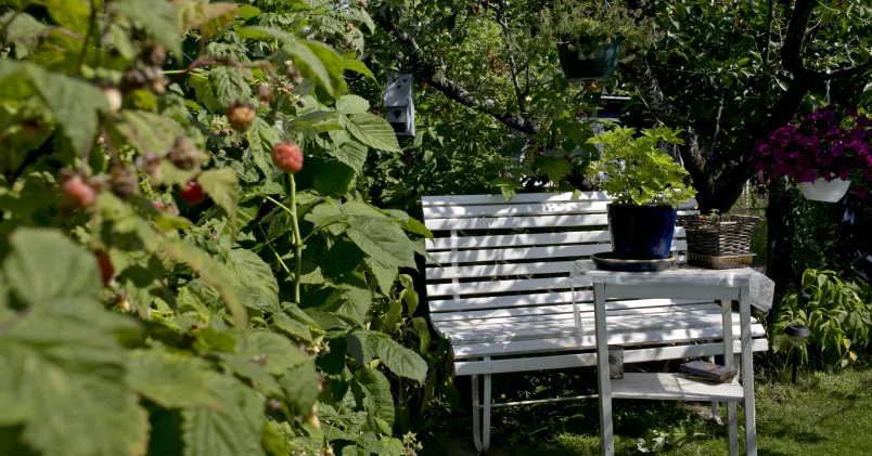 Forskning visar att stressen minskar när vi vistas i naturen. En trädgård kan hjälpa dig att varva ner. Anette Karlsen / NTB scanpix / TT