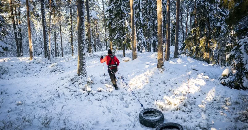 Person släpar på däck i rep i snöig skog.