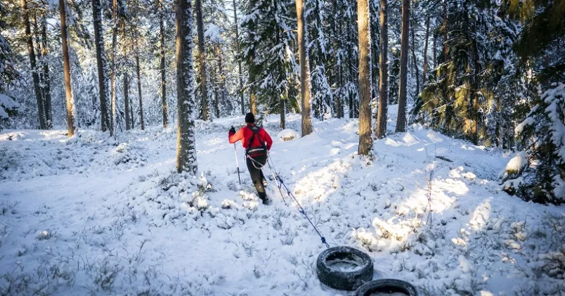 Att träna tufft är sämre än lågintensiv träning. Person släpar på däck i rep i snöig skog.