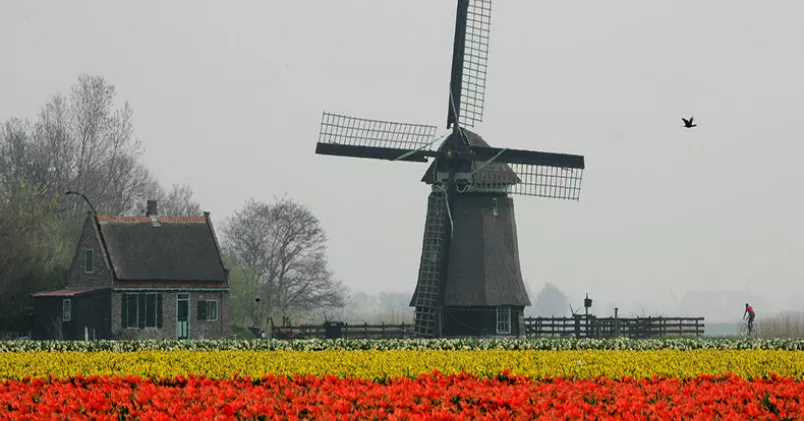 Peter Dejong / AP Photo