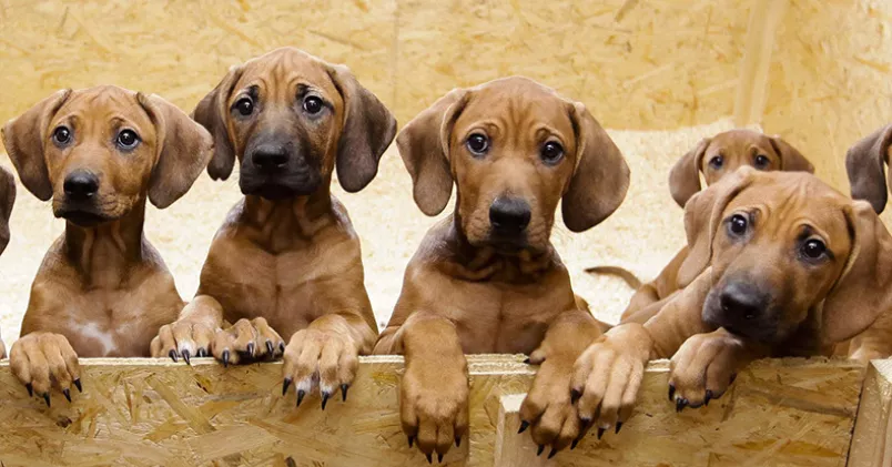 Markus Schreiber/AP Photo/Scanpix