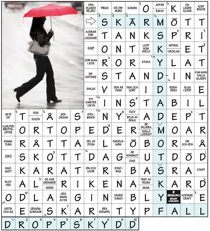 Facit korsord nr 7 2025