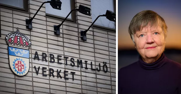 Bild på Arbetsmiljöverket och Maria Steinberg, docent i arbetsmiljörätt.