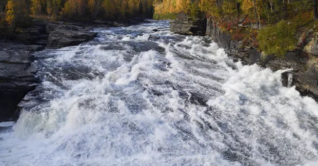 Forsande vatten med skog på vardera sida, berg i bakgrunden.