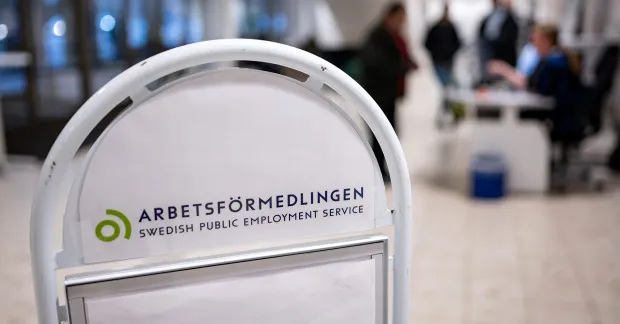Arbetsförmedlingens arbetsmarknadsprogram