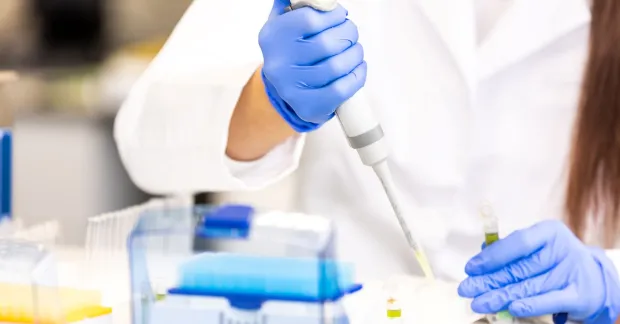 Laboratorium 
