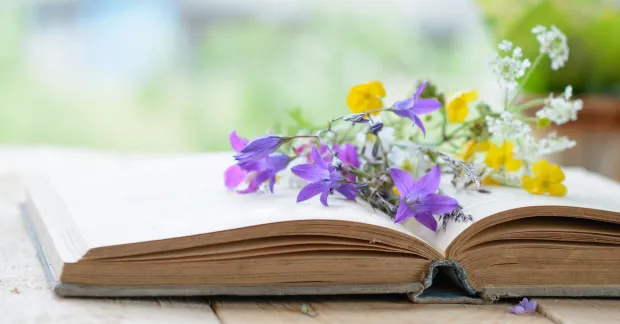 Sommarblommor på bok.
