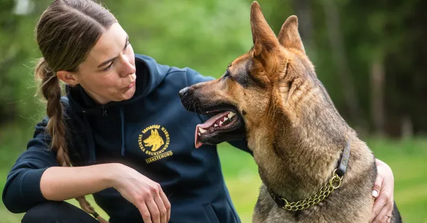 Kvinna sitter på huk och tittar på en hund, som tittar tillbaka på henne