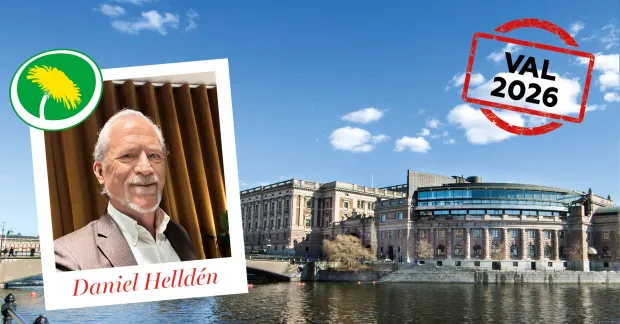 Grafisk valbild med Miljöpartiets partisymbol, ett porträttfoto med texten “Daniel Helldén”, riksdagshuset i bakgrunden och en röd stämpel med texten “Val 2026”.