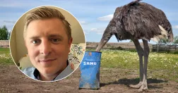 Struts som stoppar huvudet i sanden. Till vänster Hampus Karlsson.