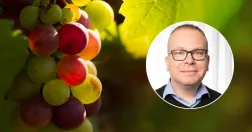 vindruvor och Magnus Kjellsson