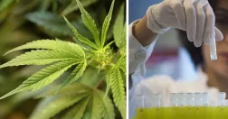 Ted S. Warren/ AP Photo/TT, Fredrik Sandberg/TT