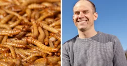 Tebrito / Kola Productions