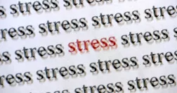 Janerik Henriksson/TT