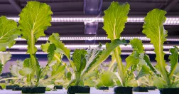 Lars Pehrson / SvD / TT 