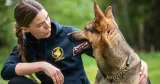 Kvinna sitter på huk och tittar på en hund, som tittar tillbaka på henne